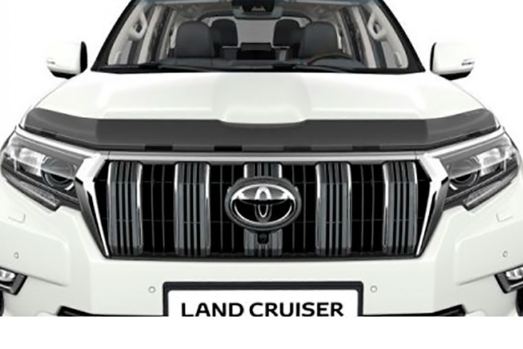   Toyota Land Cruiser Prado 150 2017- egr