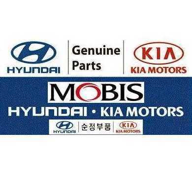   Hyundai Elantra 868233X100
 Mobis