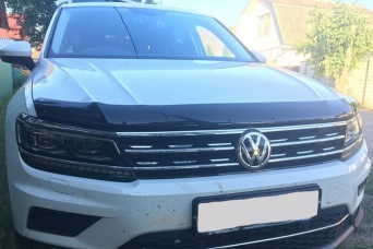   VW Tiguan II 2017-2021 egr