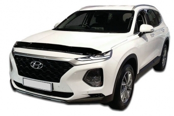    Hyundai Santa Fe IV ca
